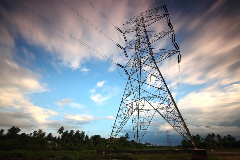 setores perenes energia